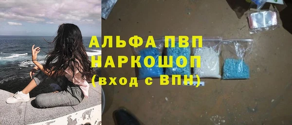 спайс Инта