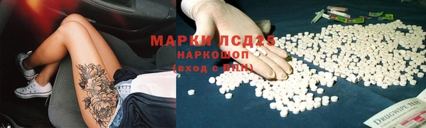 спайс Инта