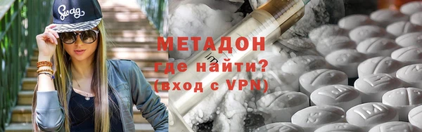 индика Инсар