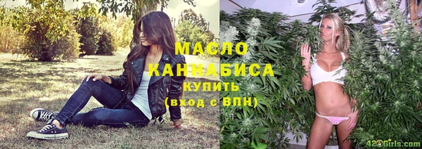 индика Инсар