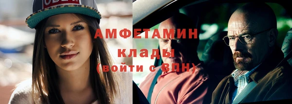 индика Инсар