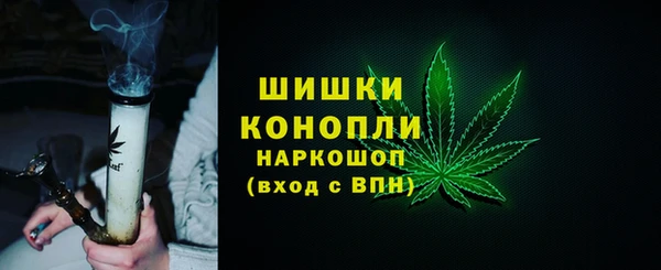 спайс Инта
