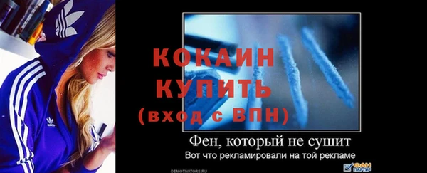 спайс Инта