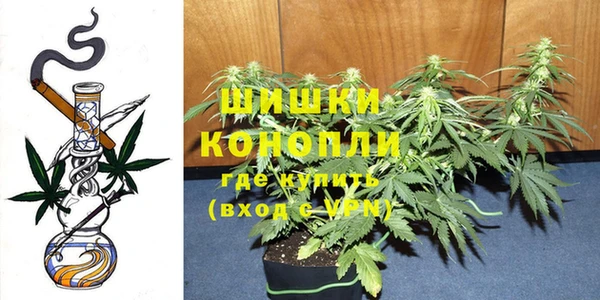 индика Инсар