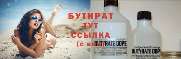индика Инсар