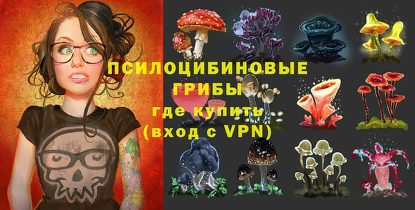 PSILOCYBIN Иннополис