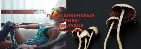индика Инсар