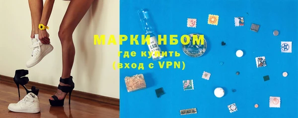 индика Инсар