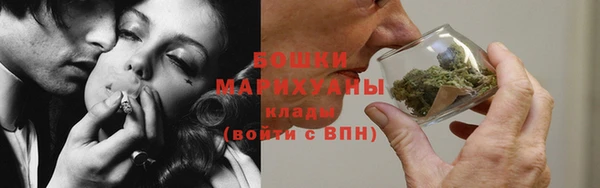 PSILOCYBIN Иннополис