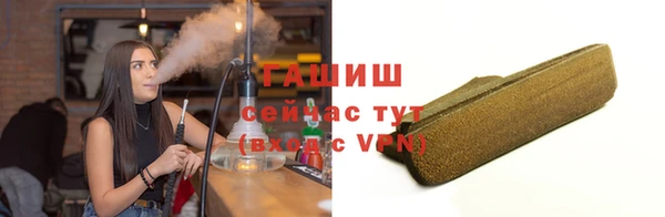 индика Инсар