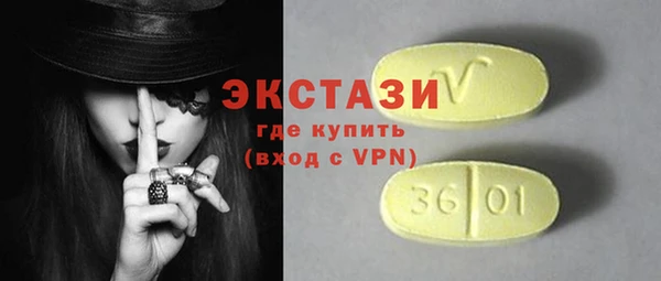 индика Инсар