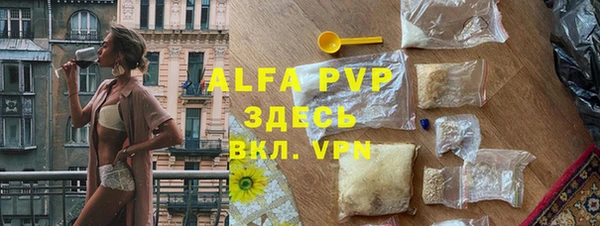 индика Инсар