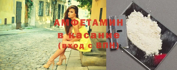 индика Инсар