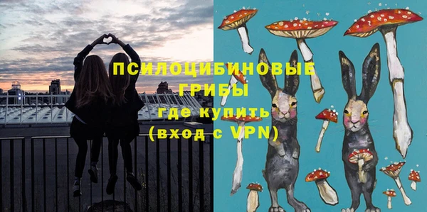 PSILOCYBIN Иннополис