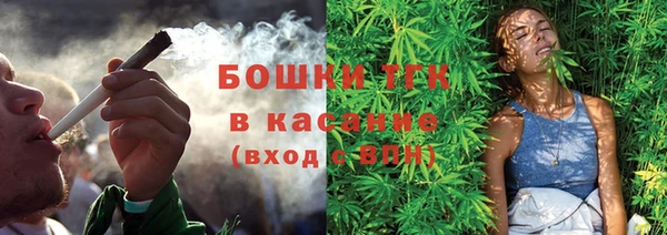 индика Инсар