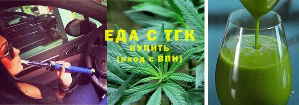индика Инсар