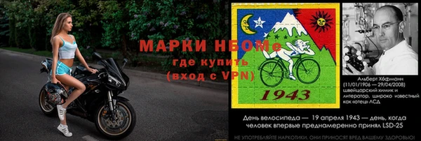 индика Инсар