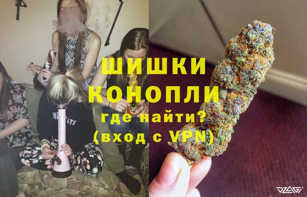 спайс Инта