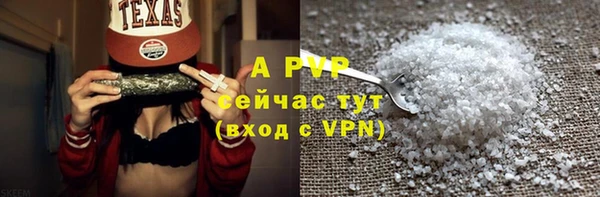 PSILOCYBIN Иннополис