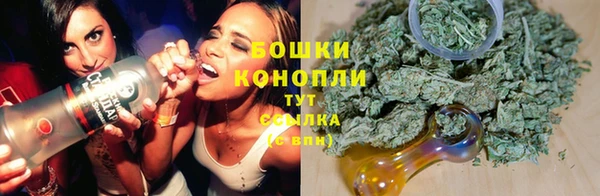 спайс Инта