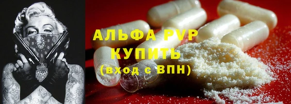 спайс Инта
