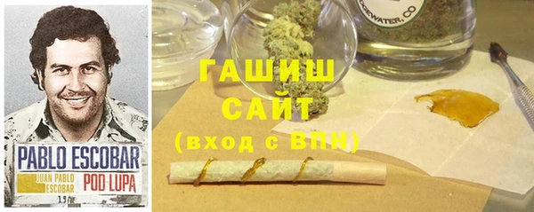 индика Инсар